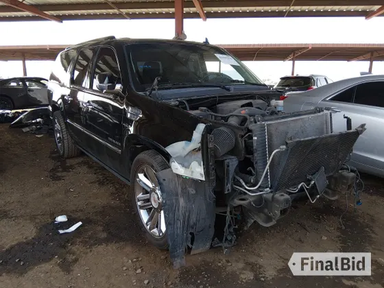 2013 Cadillac Escalade ESV Platinum Edition