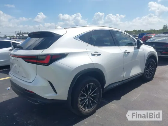 2022 Lexus NX 250