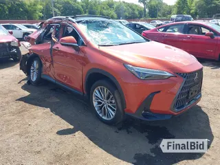 2023 Lexus NX 350h Luxury
