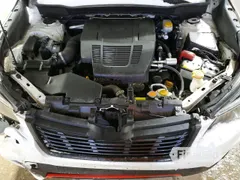 2021 Subaru Forester Special Sports