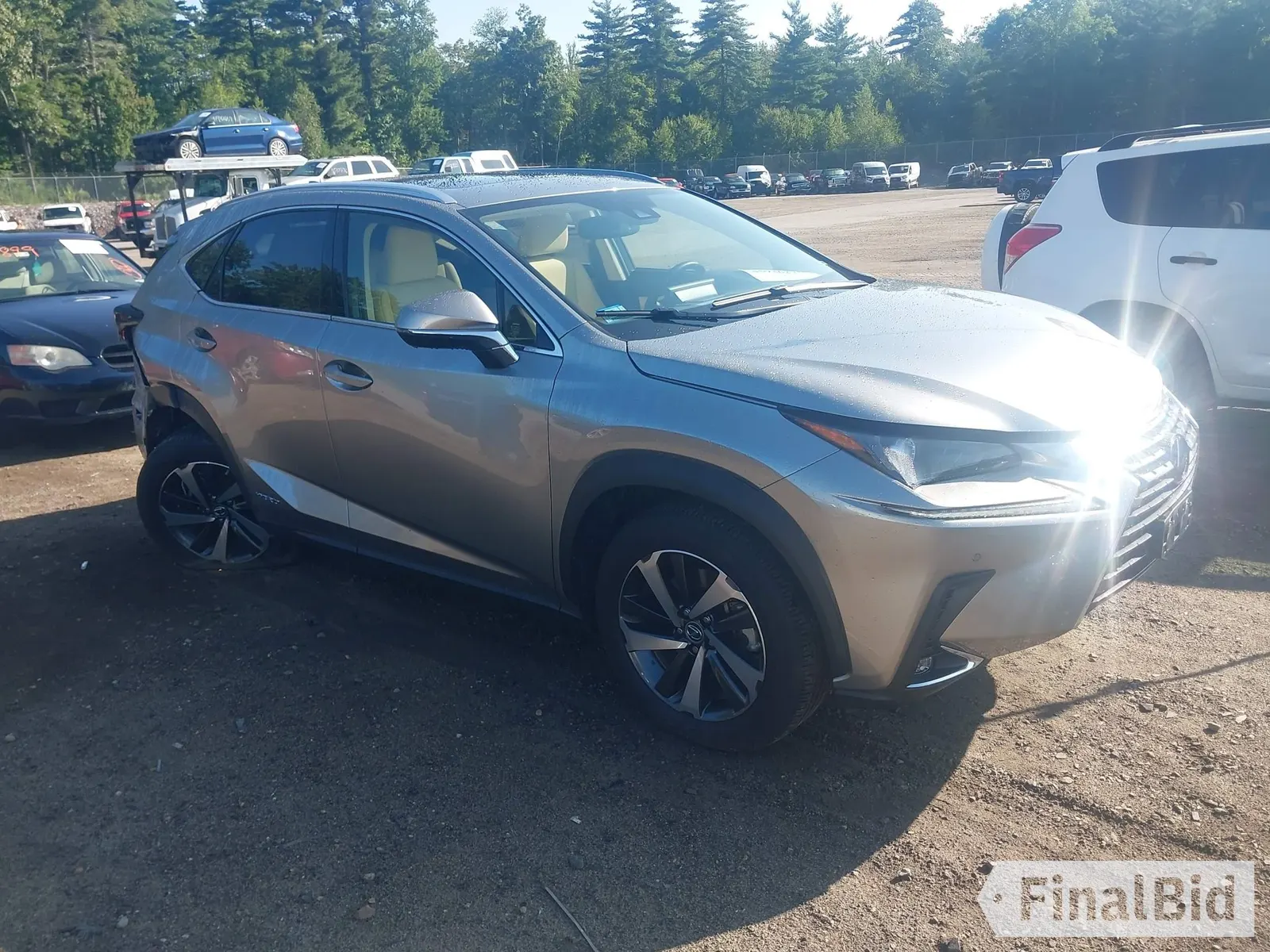 2021 Lexus NX 300h