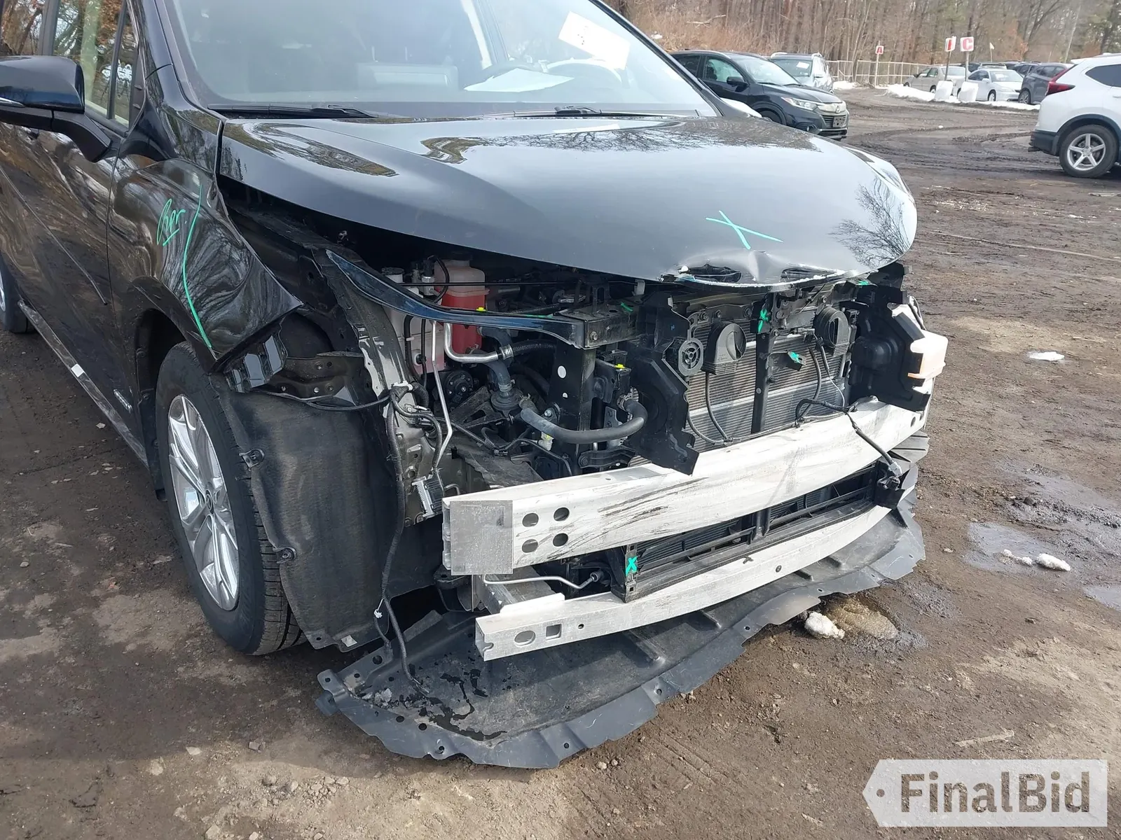 2021 Toyota Sienna Platinum