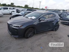 2024 Lexus NX 250 Premium
