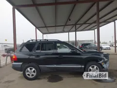 2004 Hyundai Santa Fe GLS